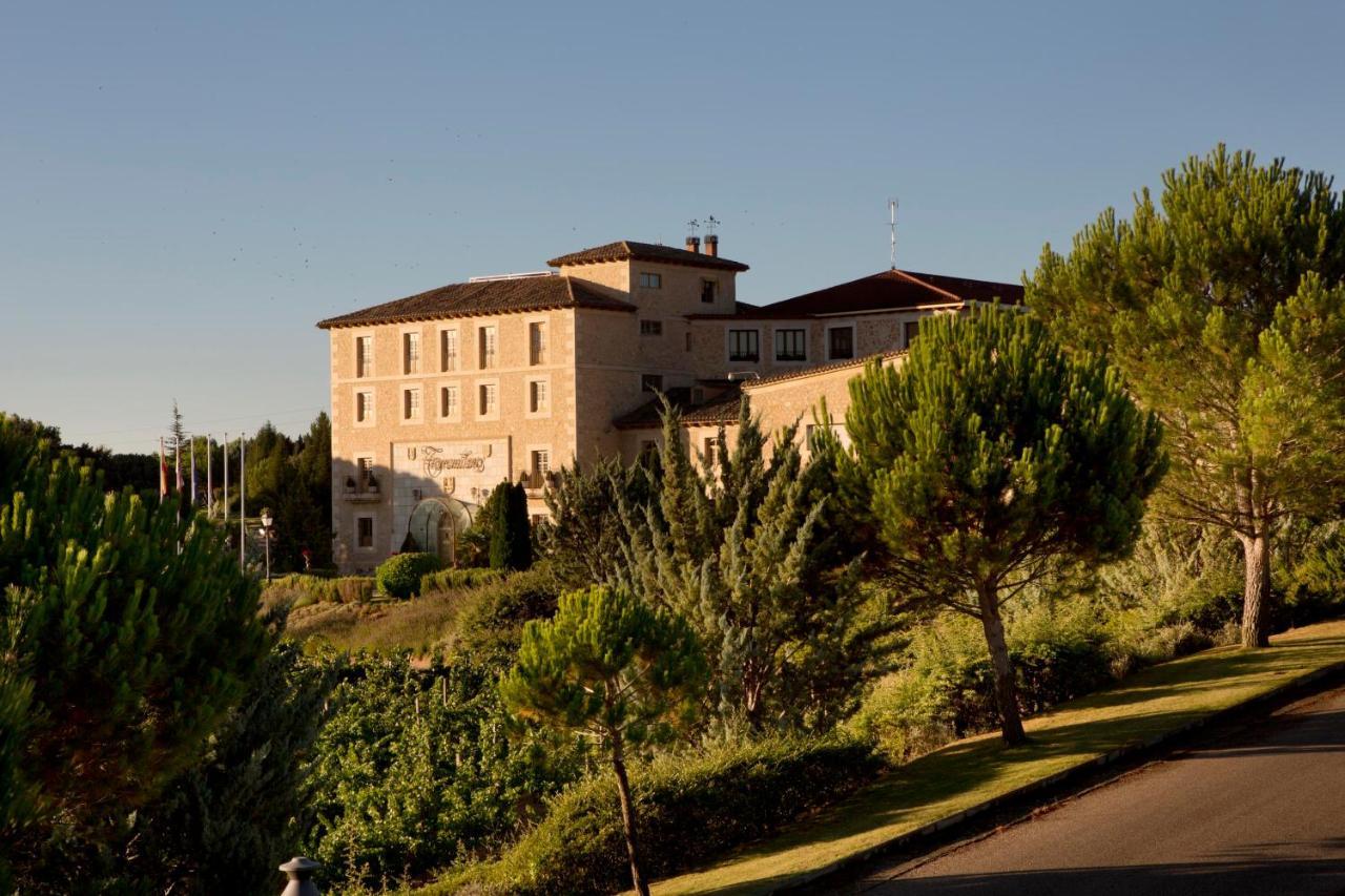 Hotel Torremilanos Aranda de Duero Bagian luar foto