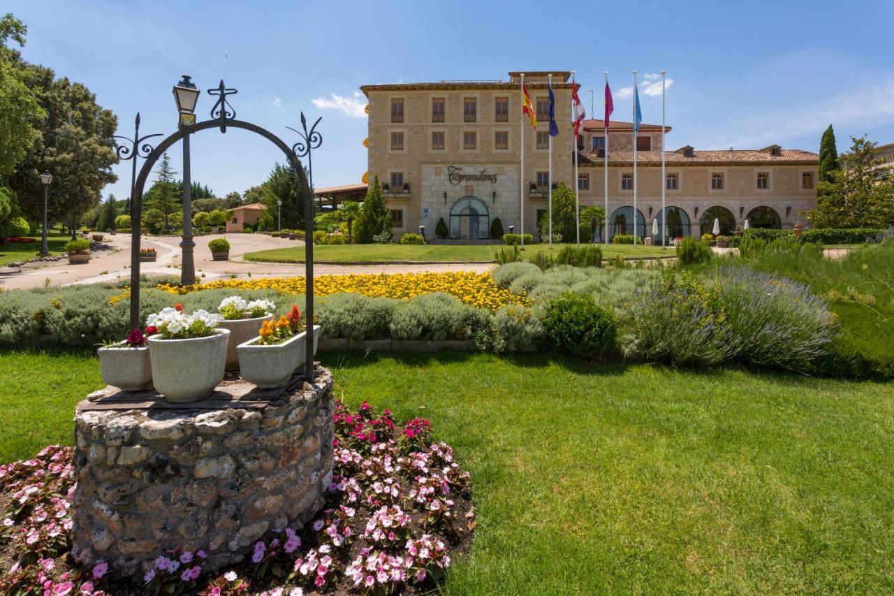 Hotel Torremilanos Aranda de Duero Bagian luar foto