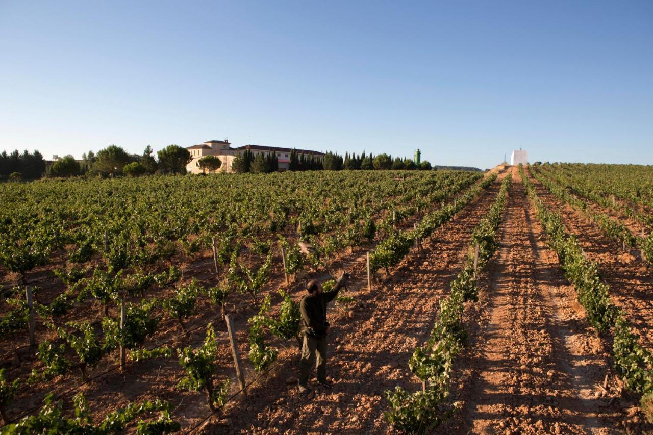 Hotel Torremilanos Aranda de Duero Bagian luar foto