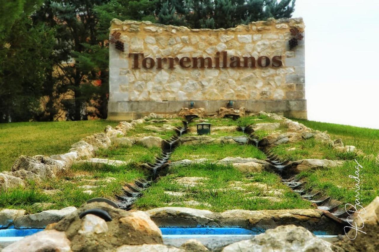 Hotel Torremilanos Aranda de Duero Bagian luar foto